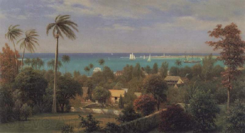 Albert Bierstadt Bahamas Harbour France oil painting art
